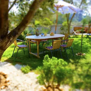 https://apartments-maja-vir.hotelinzadar.com